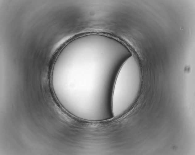 X0000094351452200711021302