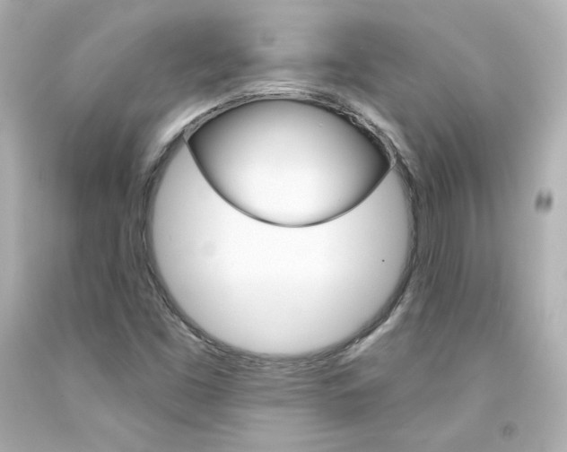 X0000094351453200711021302