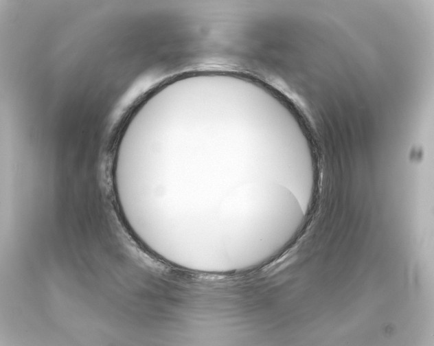 X0000094351454200711021302