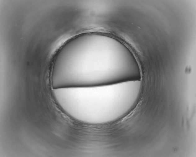 X0000094351455200711021302