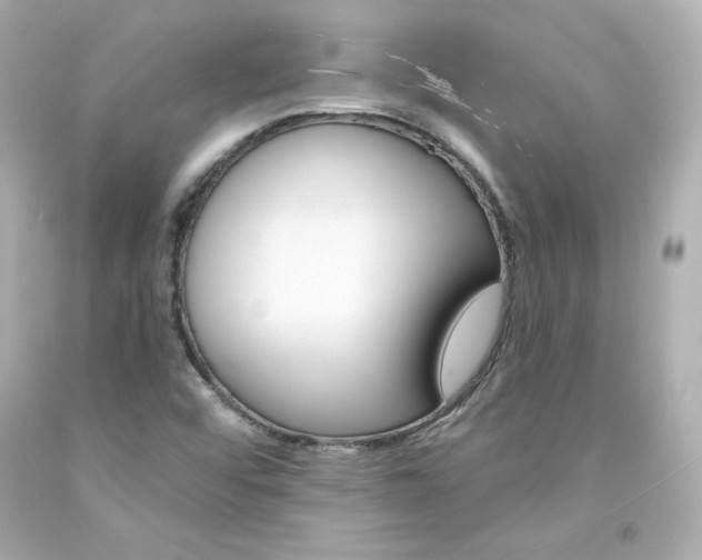 X0000094351456200711021302