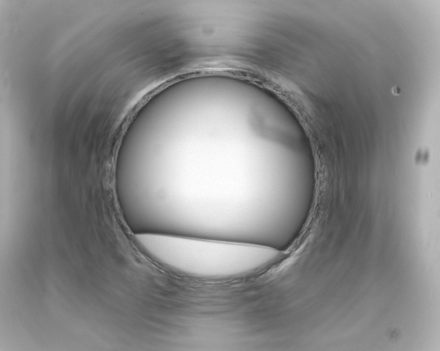X0000094351457200711021302
