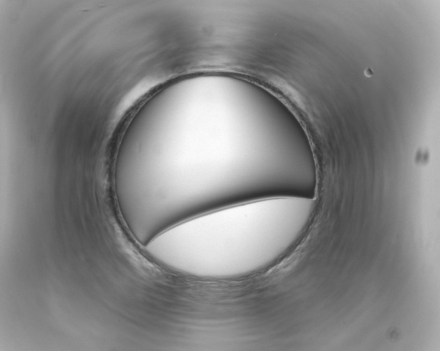 X0000094351458200711021302