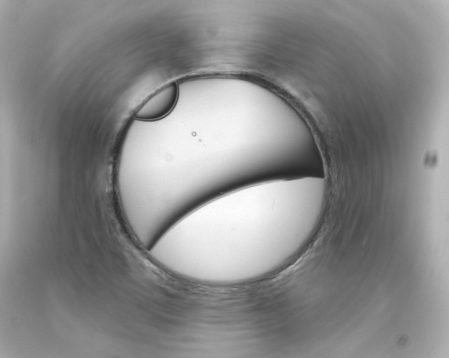 X0000094351459200711021302