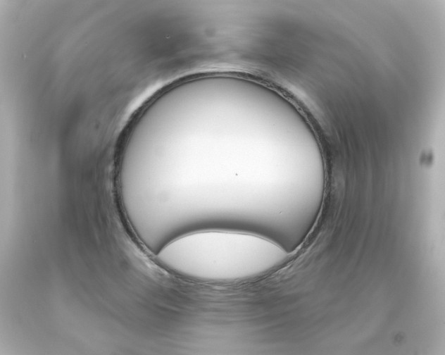X0000094351460200711021302