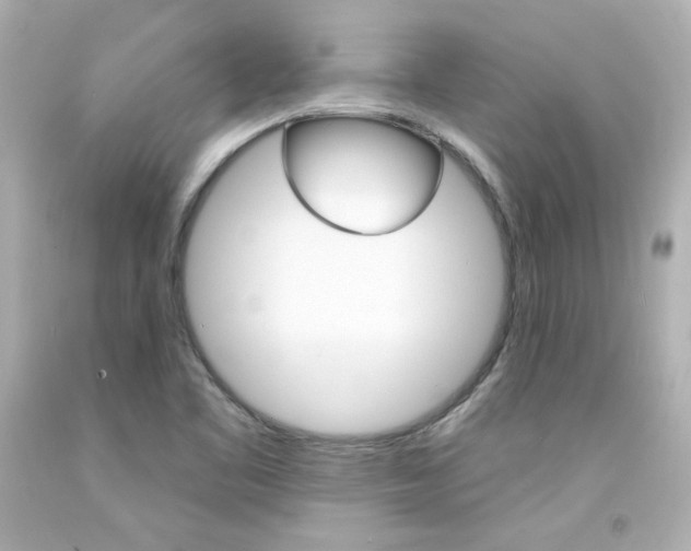 X0000094351461200711021302