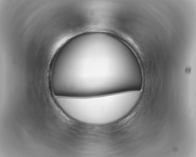 X0000094351463200711021301