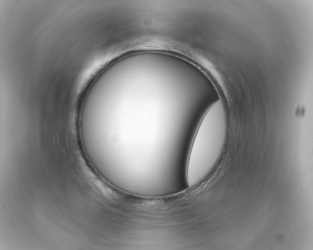 X0000094351464200711021301