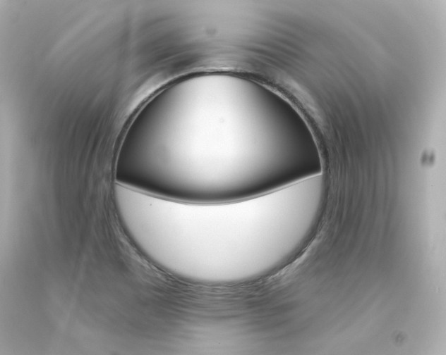 X0000094351465200711021301
