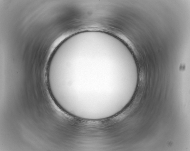 X0000094351466200711021301