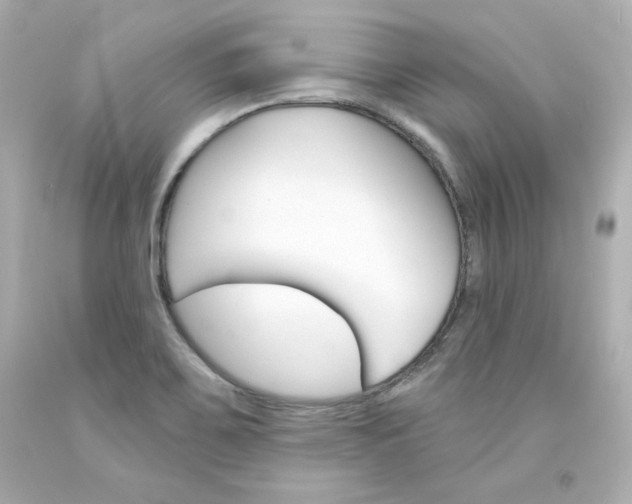 X0000094351467200711021301
