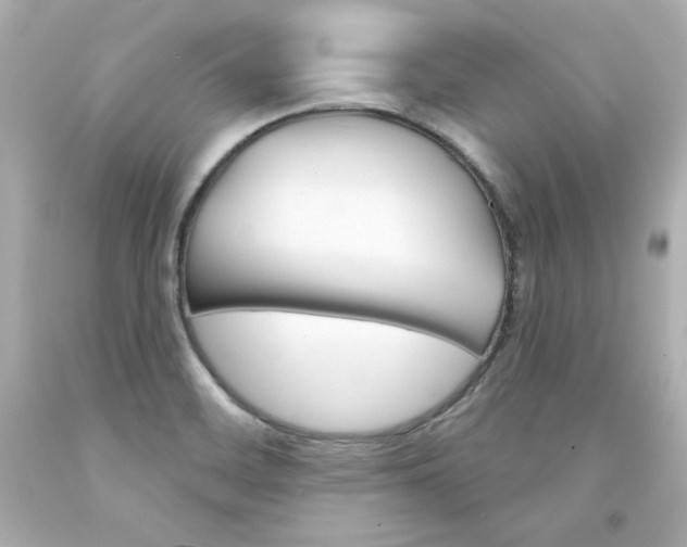 X0000094351468200711021301