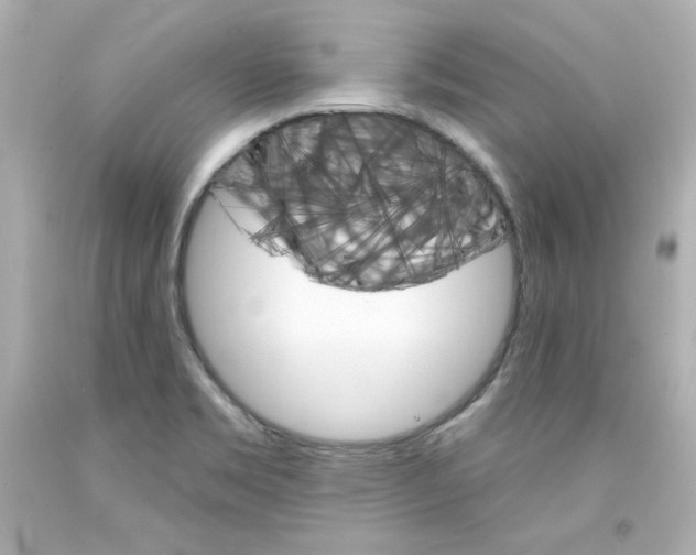 X0000094351469200711021301