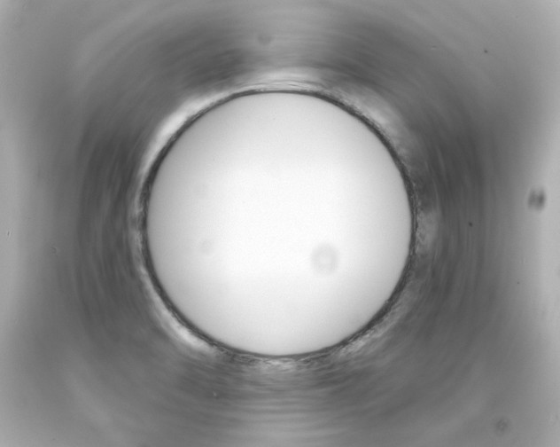 X0000094351470200711021301