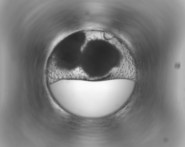 X0000094351471200711021301