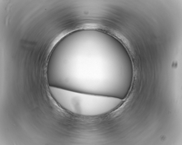 X0000094351473200711021301