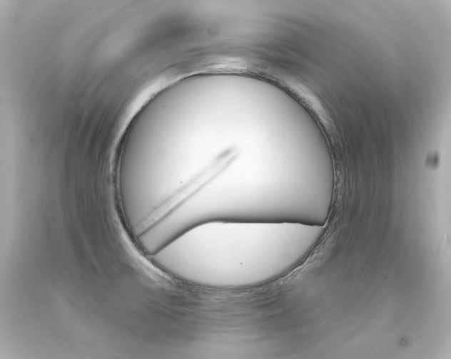 X0000094351475200711021301