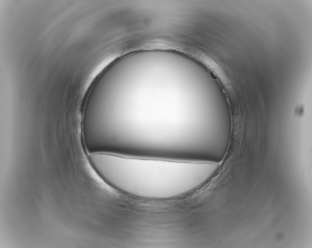 X0000094351476200711021301