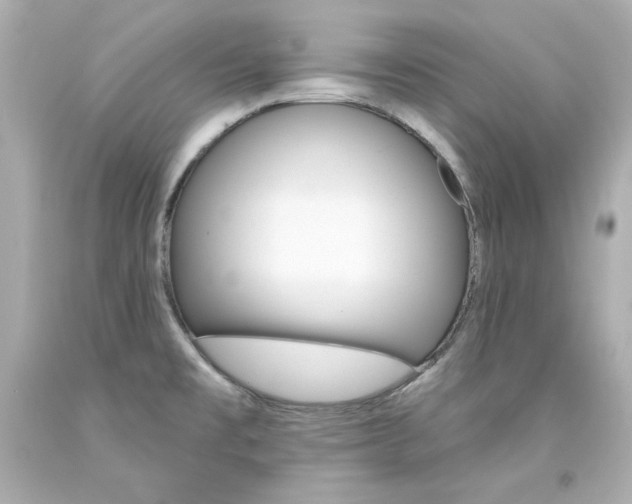 X0000094351477200711021301