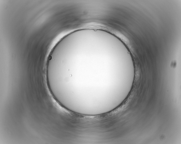 X0000094351478200711021301
