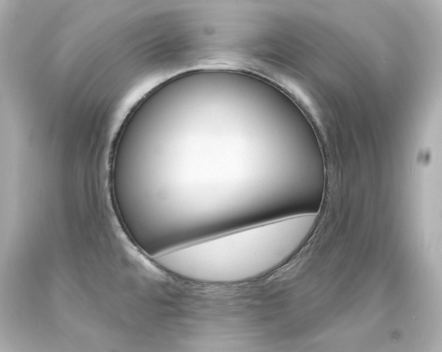 X0000094351480200711021301
