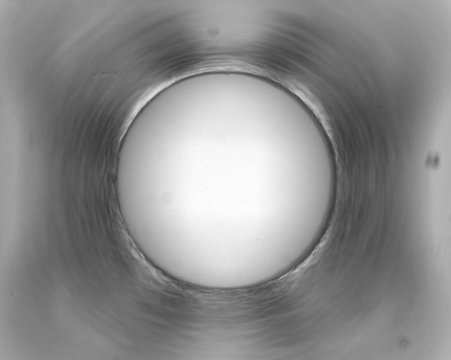 X0000094351481200711021301