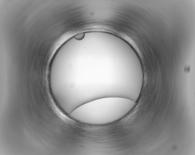 X0000094351482200711021301