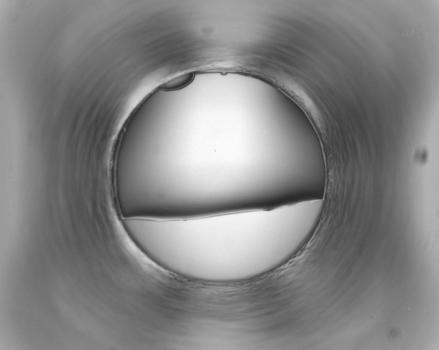 X0000094351483200711021301