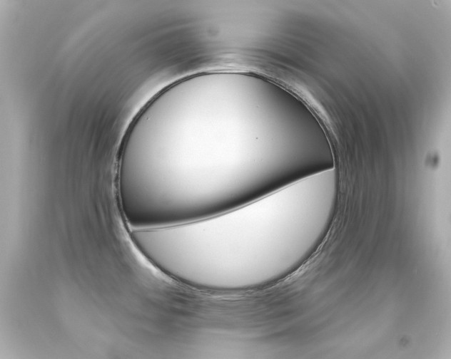 X0000094351484200711021301