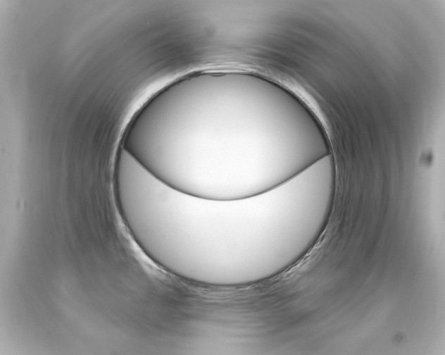 X0000094351485200711021301