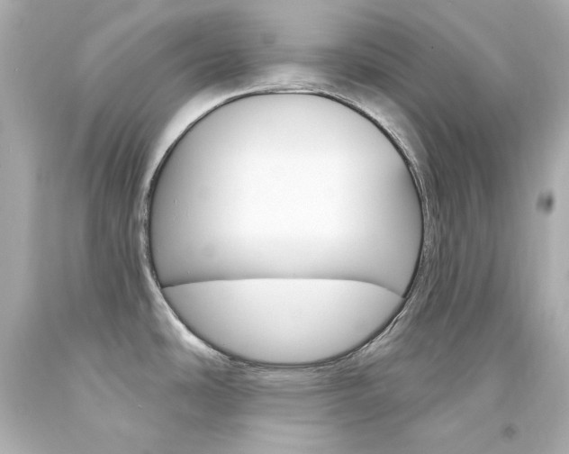 X0000094351486200711021301