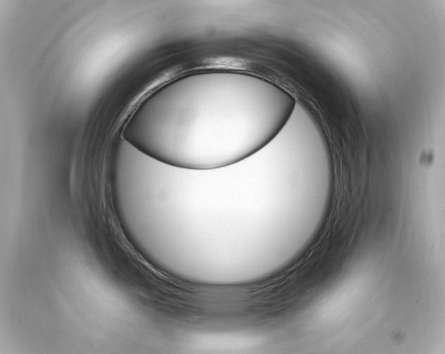 X0000094351487200711021301