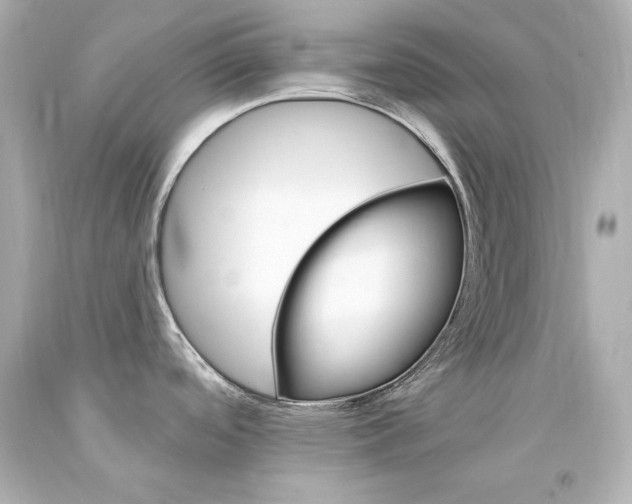 X0000094351488200711021301