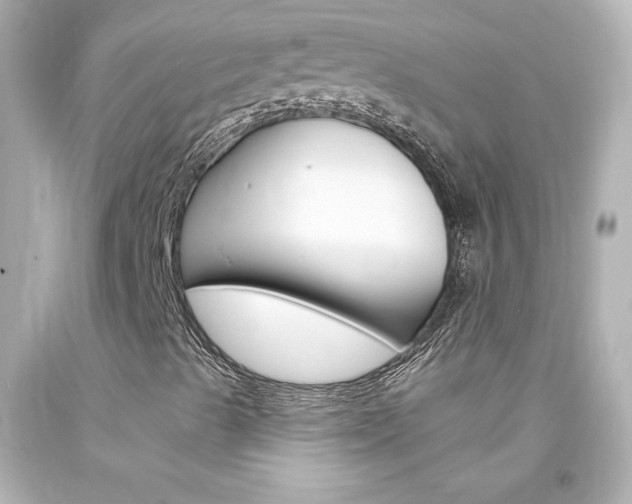 X0000094351489200711021300