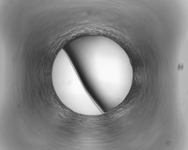 X0000094351490200711021300