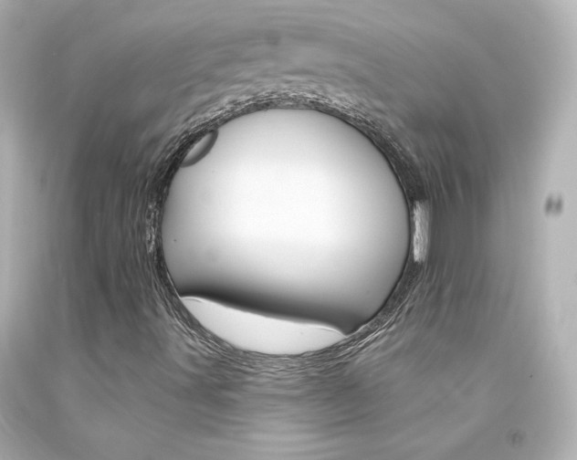 X0000094351491200711021301