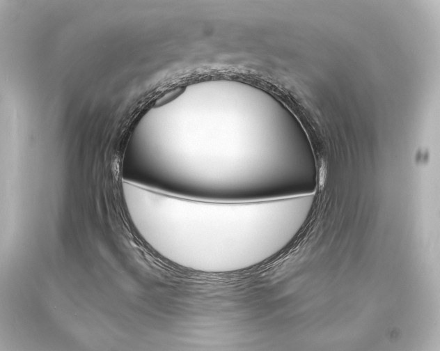 X0000094351492200711021301