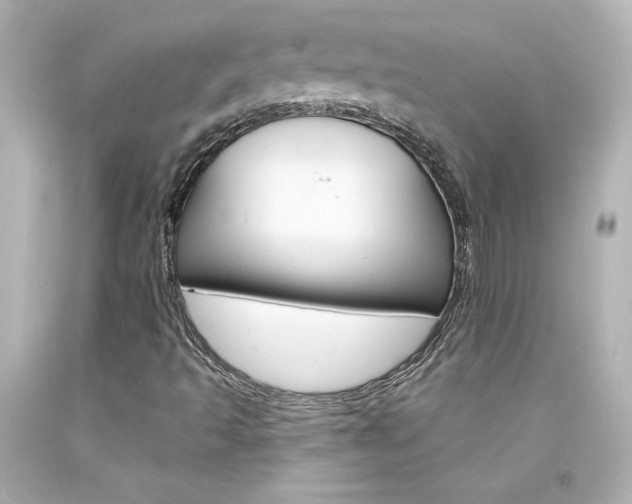 X0000094351493200711021301