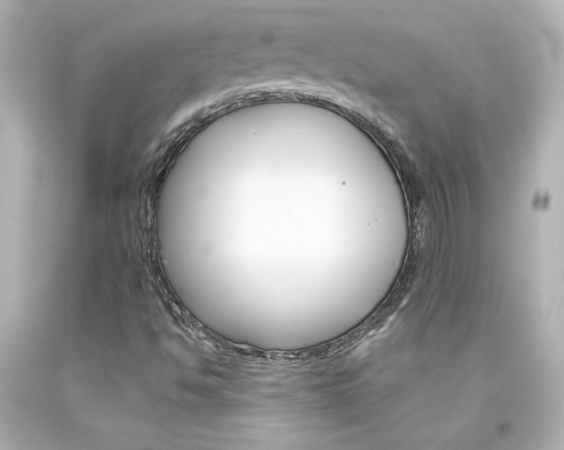 X0000094351494200711021301