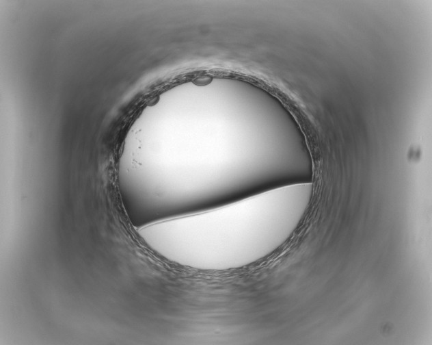 X0000094351495200711021301