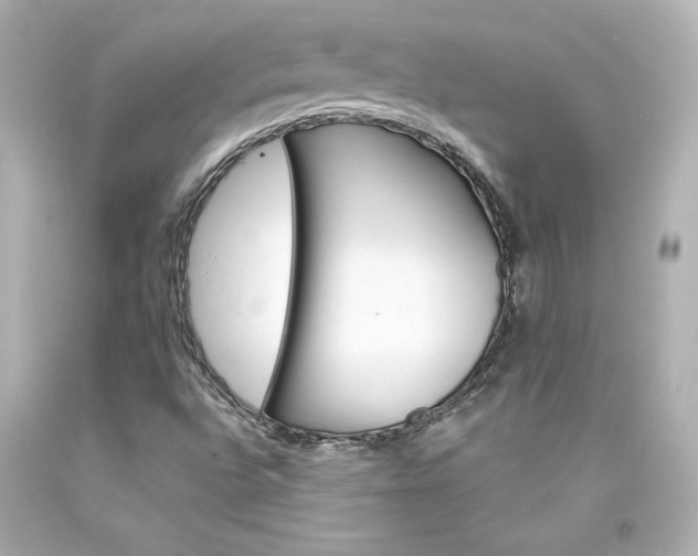 X0000094351496200711021301