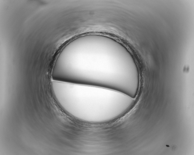 X0000094351497200711021301