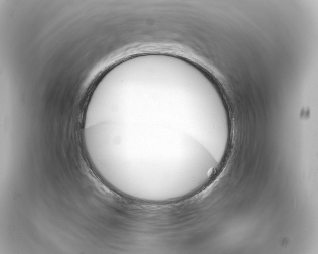 X0000094351498200711021301