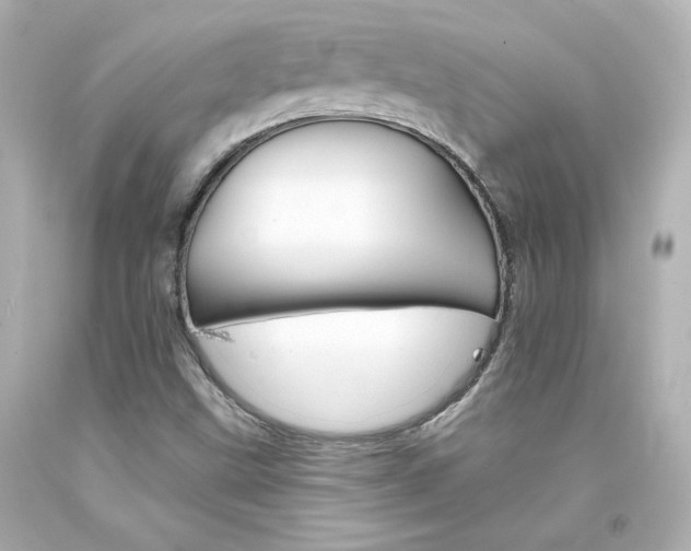 X0000094351499200711021301
