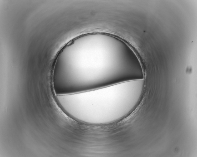 X0000094351500200711021301