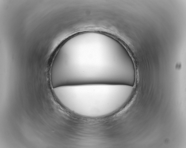 X0000094351501200711021301