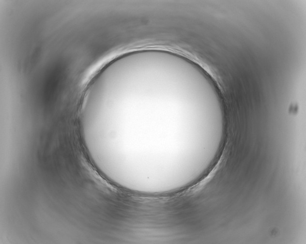 X0000094351502200711021301