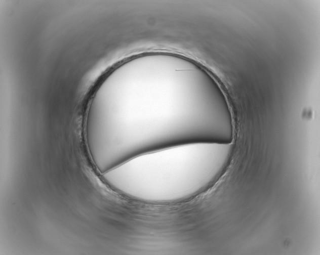 X0000094351503200711021301