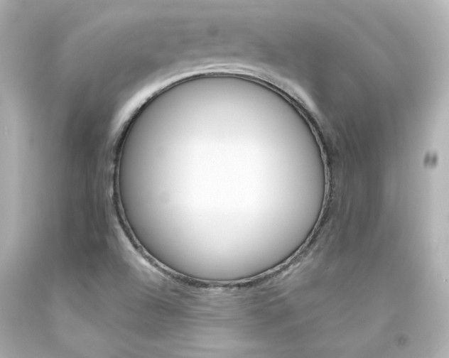 X0000094351504200711021301