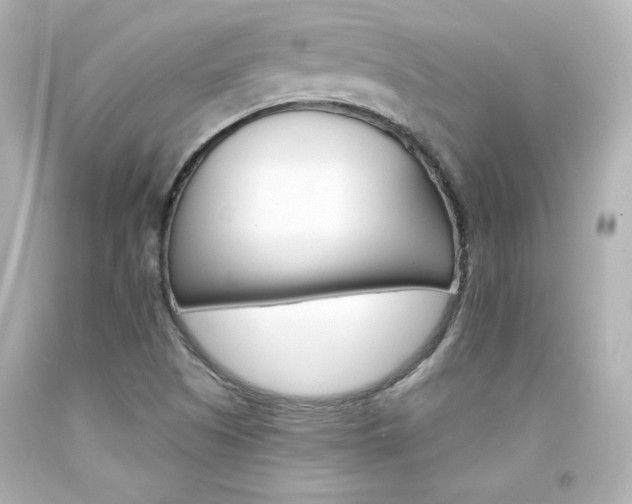 X0000094351505200711021301